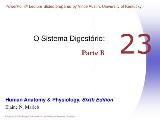 o sistema digest rio parte b