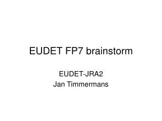 eudet fp7 brainstorm