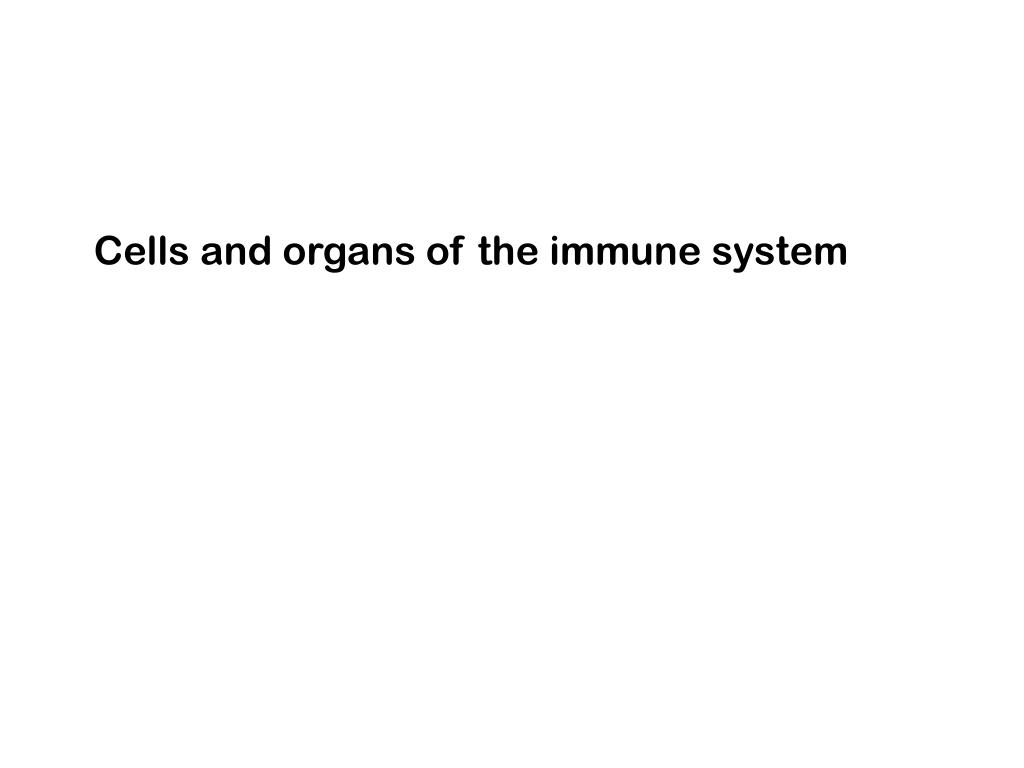 PPT - Cells and organs of the immune system PowerPoint Presentation ...