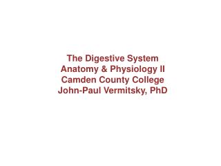 The Digestive System Anatomy &amp; Physiology II Camden County College John-Paul Vermitsky, PhD