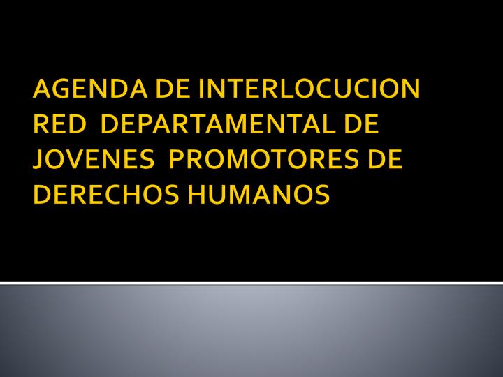 agenda de interlocucion red departamental de jovenes promotores de derechos humanos