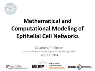 Mathematical and Computational Modeling of Epithelial Cell Networks