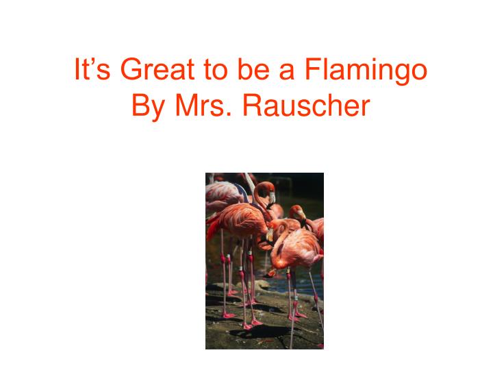 it s great to be a flamingo by mrs rauscher