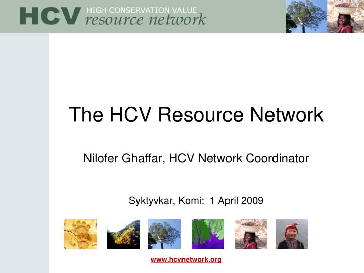 the hcv resource network nilofer ghaffar hcv network coordinator syktyvkar komi 1 april 2009