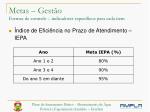 Metas – Gestão - slide 1