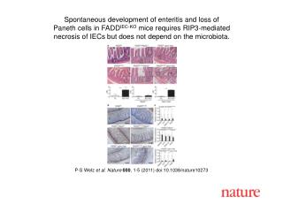 P-S Welz et al . Nature 000 , 1 - 5 (2011) doi:10.1038/nature10273