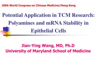 Potential Application in TCM Research: Polyamines and mRNA Stability in Epithelial Cells