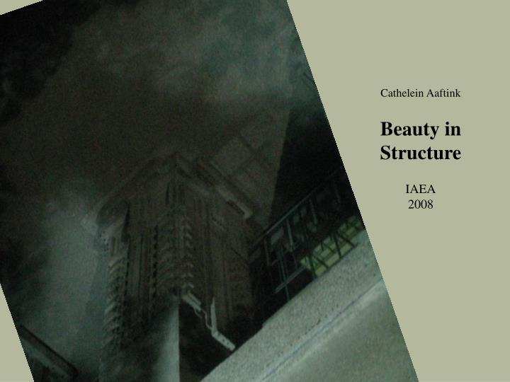 cathelein aaftink beauty in structure iaea 2008
