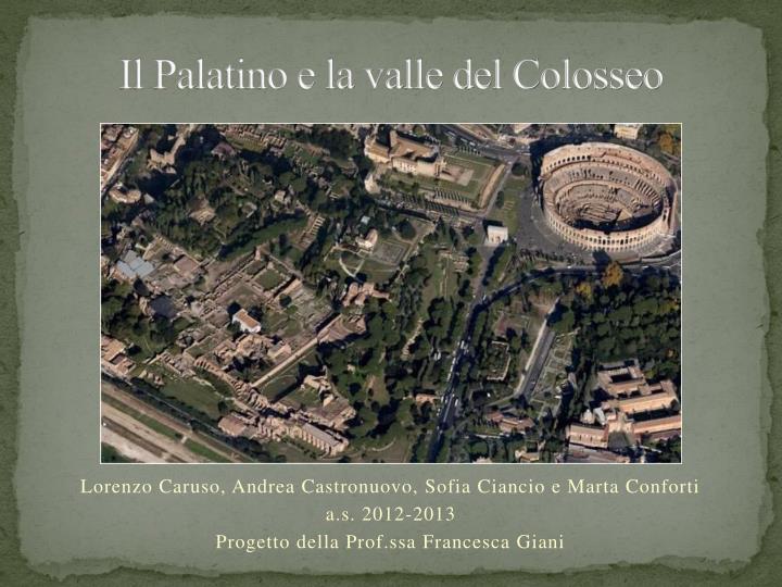 il palatino e la valle del colosseo