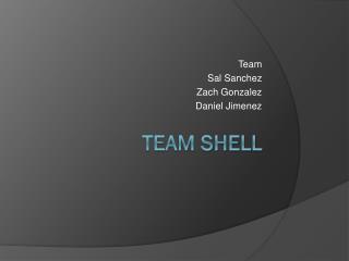 Team Shell