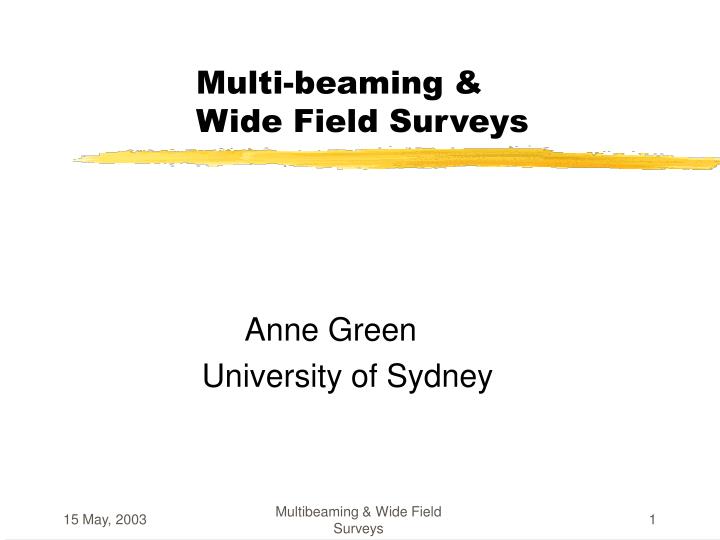 multi beaming wide field surveys