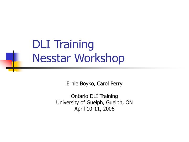 dli training nesstar workshop