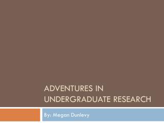 Adventures in Undergraduate Research