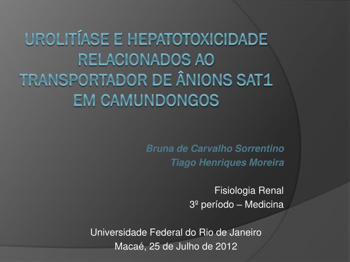 urolit ase e hepatotoxicidade relacionados ao transportador de nions sat1 em camundongos