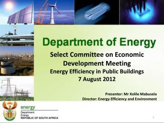 Select Committee on Economic Development Meeting Energy Efficiency in Public Buildings