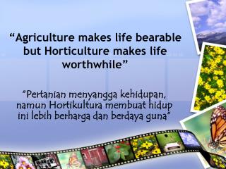 “Agriculture makes life bearable but Horticulture makes life worthwhile”