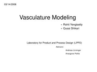 Vasculature Modeling