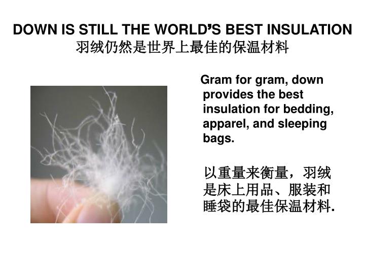 down is still the world s best insulation
