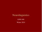 Neurolinguistics - slide 1