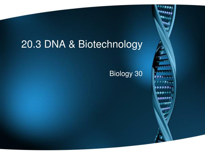 20 3 dna biotechnology