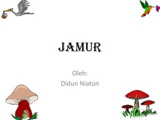 jamur