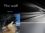 The wolf - slide 1