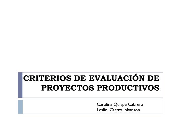 criterios de evaluaci n de proyectos productivos