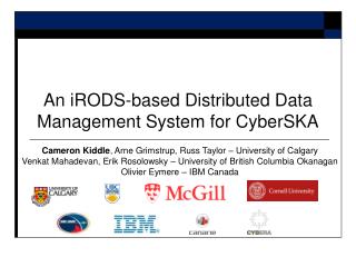 An iRODS-based Distributed Data Management System for CyberSKA