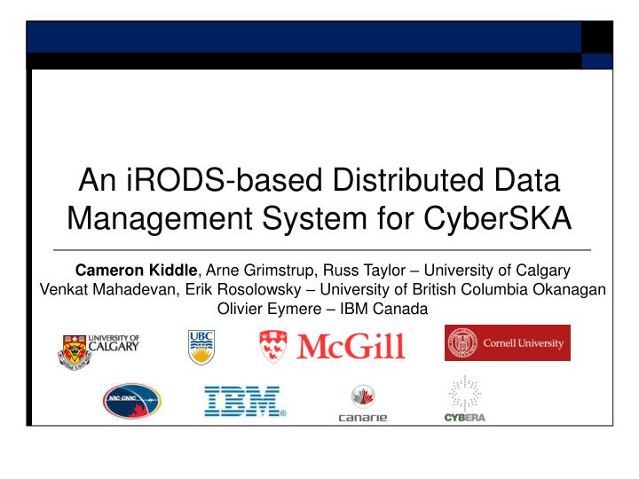 an irods based distributed data management system for cyberska