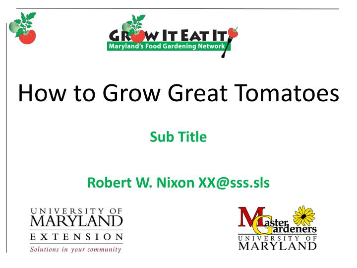how to grow great tomatoes
