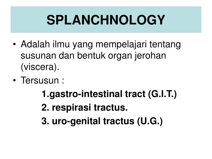 splanchnology