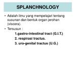 SPLANCHNOLOGY - slide 1