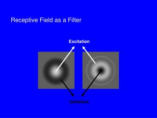 Receptive Field as a Filter