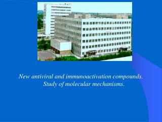 New antiviral and immunoactivation compounds. Study of molecular mechanisms.