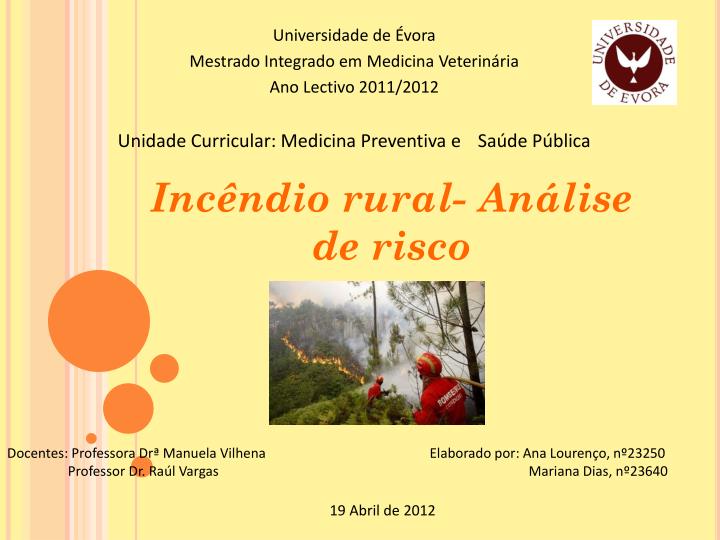 inc ndio rural an lise de risco