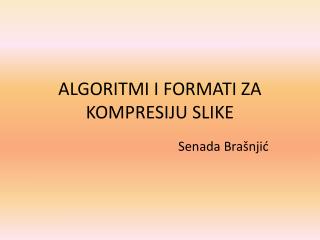 algoritmi i formati za kompresiju slike