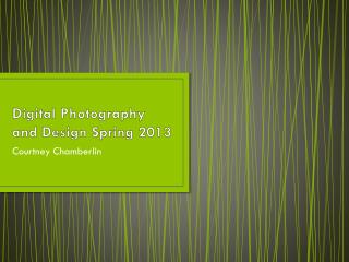 Digital Photography and Design Spring 2013