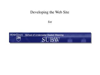 Developing the Web Site