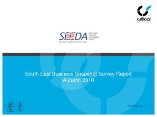 South East Business Snapshot Survey Report Autumn 2010