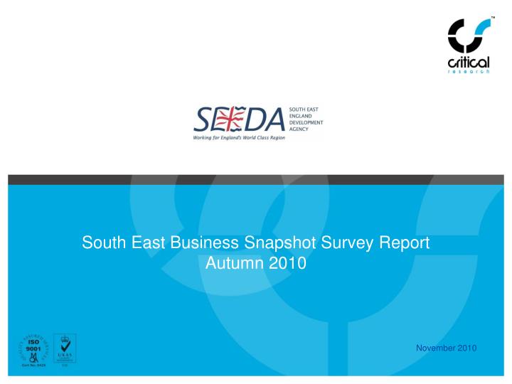 south east business snapshot survey report autumn 2010