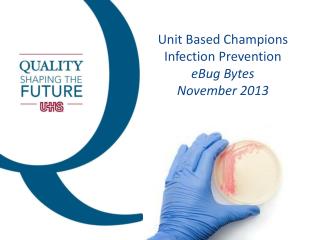 Unit Based Champions Infection Prevention eBug Bytes November 2013