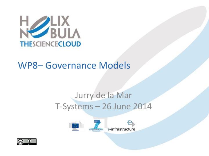 wp8 governance models