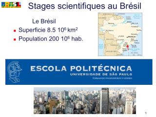 stages scientifiques au br sil