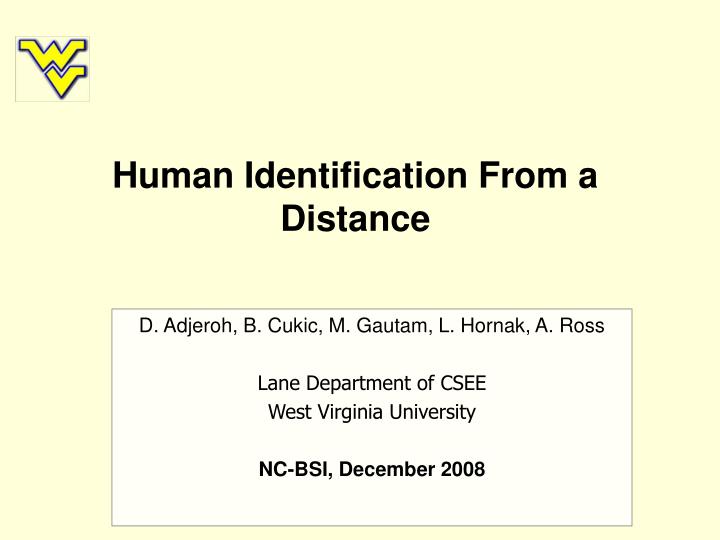 human identification from a distance