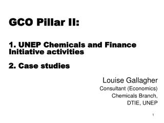 GCO Pillar II: 1. UNEP Chemicals and Finance Initiative activities 2. Case studies