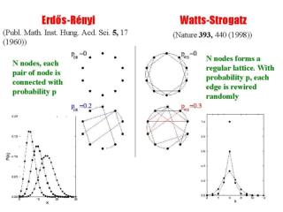 Exp. vs. Scale-Free