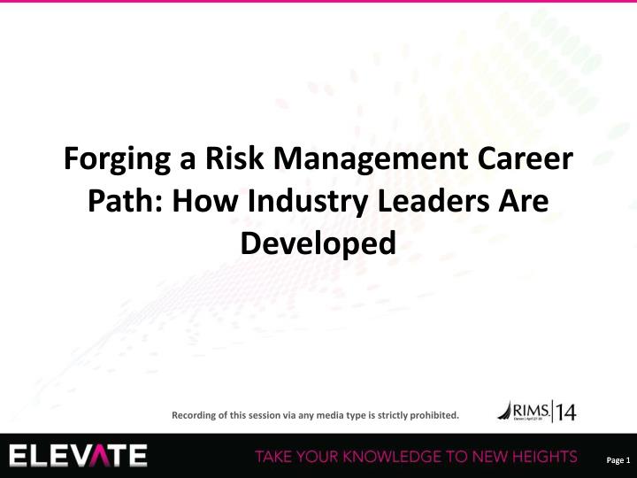 forging a risk management career path how industry leaders are developed