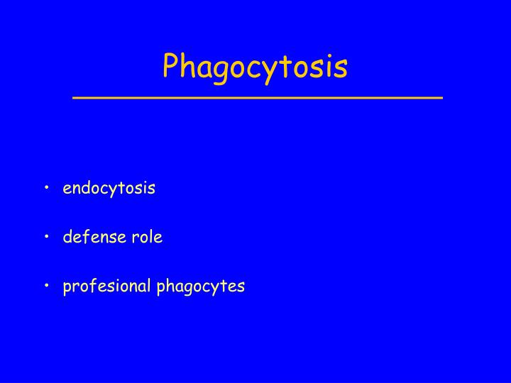 ph agocyt osis