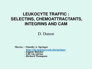 LEUKOCYTE TRAFFIC : SELECTINS, CHEMOATTRACTANTS, INTEGRINS AND CAM D. Dunon
