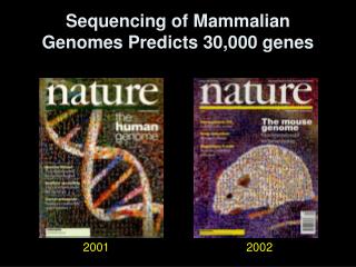 Sequencing of Mammalian Genomes Predicts 30,000 genes